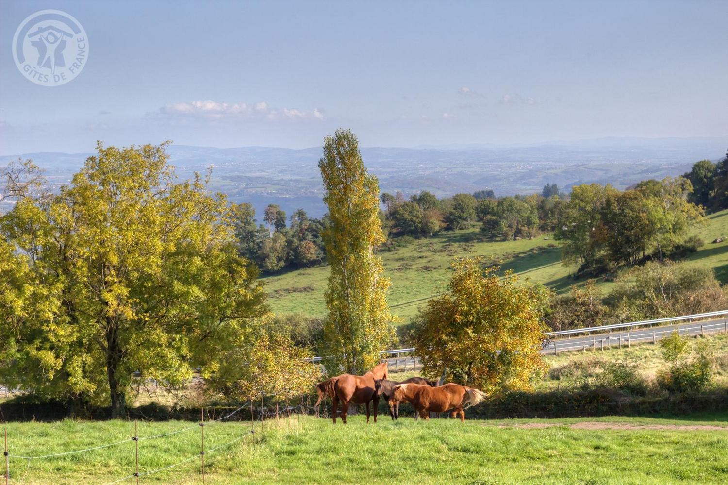 La Ferme Des Galoches Bed and Breakfast Villemontais Exteriör bild